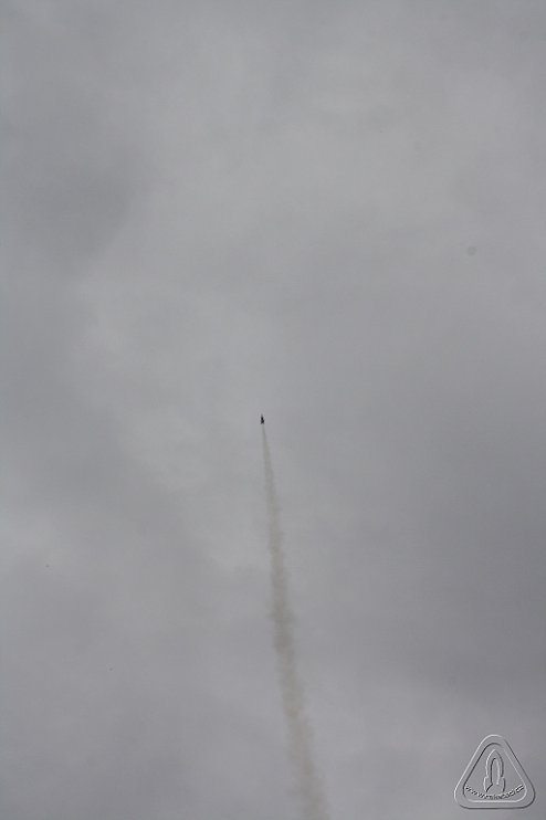 2013 Svojek Mirek Topinka